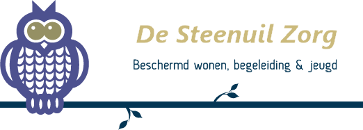 Logo De Steenuil